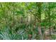 Picturesque natural backyard featuring abundant greenery and native plants, creating a peaceful retreat at 5451 Kings River Dr, North Charleston, SC 29420