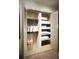 Bright, organized closet features shelving and ample storage space for an efficient and clean living space at 717 Chatter Rd, Mount Pleasant, SC 29464