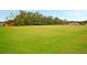 Large green playing field with soccer goals on each end and surrounding trees at 1011 Old Field Dr, Summerville, SC 29483