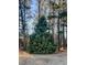 Tall evergreen tree surrounded by other trees in a well-maintained yard on a sunny day at 107 Bessie Ln, Bonneau, SC 29431