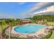 Resort-style community pool with ample seating, palm trees, and a covered pavilion for relaxation and recreation at 118 Beacon Falls Ct, Summerville, SC 29486