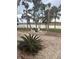 Firepit area with Adirondack chairs and palm trees at 123 Jungle Rd, Edisto Island, SC 29438