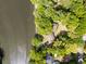 An aerial view shows this property is nestled among lush trees with direct water access at 1405 S Edgewater Dr, Charleston, SC 29407