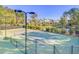 Well-maintained tennis courts with lighting and surrounding trees in this community at 1580 Cranes Nest Rd, Mount Pleasant, SC 29466