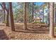 Exterior view of a home featuring kayak storage and nestled among trees in a beautiful outdoor setting at 1606 Whitby Ln, Charleston, SC 29414