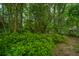Lush green landscape surrounding the property, offering a tranquil setting at 241 Howle Ave # H, Charleston, SC 29412