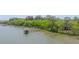 Aerial view showcases the dock and pier extending into the waterway, surrounded by lush greenery at 2970 Roseville Rd, Wadmalaw Island, SC 29487