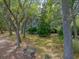 Backyard view of a home surrounded by trees, lawn, and a bench at the edge of a wooded path at 2970 Roseville Rd, Wadmalaw Island, SC 29487