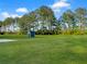 Expansive green backyard with shed, bordered by mature trees beneath a bright blue sky at 341 Sugar Hill Rd, Saint George, SC 29477