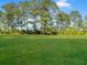 Lush green backyard with mature trees providing ample shade at 341 Sugar Hill Rd, Saint George, SC 29477