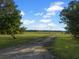 Long private driveway leading to the property set back from the road, surrounded by green lawns at 341 Sugar Hill Rd, Saint George, SC 29477