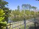 Peaceful backyard view featuring a pond with lush greenery, secured by a wrought iron fence at 3608 Maidstone Dr, Mount Pleasant, SC 29466