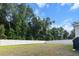 Large fenced backyard with lush green grass and mature trees surrounding the property at 3952 Treebranch Cir Cir, Mount Pleasant, SC 29429