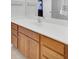 Bathroom features a white countertop, wood cabinets, and a large mirror above the sink at 5223 Fernland Way, Charleston, SC 29420