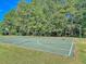 A well-maintained basketball court with a classic hoop and green surface, perfect for a game at 543 Castle Hall Rd, Mount Pleasant, SC 29464