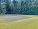A full tennis court with green surfacing, surrounded by tall pine trees and a black fence at 543 Castle Hall Rd, Mount Pleasant, SC 29464