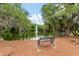 Peaceful view of the pond with fountain from a black bench on a pine needle covered ground at 5514 Colonial Chatsworth Cir, North Charleston, SC 29418