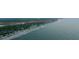 Beautiful aerial shot of homes along the beach and coastline, backed by lush green forest at 60 Rice Ln, Edisto Beach, SC 29438