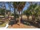 Beautiful scene with a golf course, shaded by palm trees and tall trees; property has lots of natural beauty at 60 Rice Ln, Edisto Beach, SC 29438