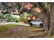 Charming home with a beautiful tree in the front yard, enhanced by a parked white Jeep at 757 Longfellow Rd, Charleston, SC 29407