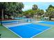 Community pickleball courts surrounded by mature landscaping and blue skies at 9 Fairway Dunes Ln, Isle of Palms, SC 29451