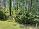 The yard features dense flowering plants and trees at 1207 Rivers Reach Dr, Wando, SC 29492