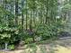 Landscaped yard features privacy fence, manicured lawn, and flowering bushes at 1207 Rivers Reach Dr, Wando, SC 29492