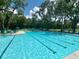 Large community pool with clear blue water, surrounded by lounge chairs and lush greenery, ideal for relaxation and recreation at 2022 Elvington Rd, Johns Island, SC 29455