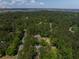 Expansive aerial view of a lush, wooded neighborhood with glimpses of waterfront and scattered homes at 2225 Black Oak Court, Mount Pleasant, SC 29466