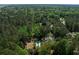 Aerial shot of a home with pool surrounded by lush trees in a serene, wooded neighborhood at 2225 Black Oak Court, Mount Pleasant, SC 29466