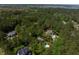 Aerial view of a wooded residential neighborhood featuring lush treetops and glimpses of backyard pools at 2225 Black Oak Court, Mount Pleasant, SC 29466