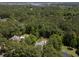 Beautiful aerial view of a well-tended and maintained neighborhood surrounded by lush, mature trees at 2225 Black Oak Court, Mount Pleasant, SC 29466