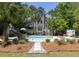Stunning backyard offers a private pool, a slide, tropical landscaping, and a spacious entertainment area at 2225 Black Oak Court, Mount Pleasant, SC 29466