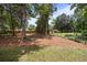 Backyard features a chainlink fence, mature trees, and lush green grass and pine straw at 4013 B Ladson Rd, Ladson, SC 29456