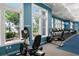 Community gym with windows and modern equipment including treadmills and bikes at 423 Four Seasons Blvd, Summerville, SC 29486