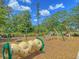 Fun community playground with slides, climbing structures, and swings at 435 Woodgate Way, Summerville, SC 29485