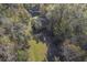An aerial view of a home surrounded by trees, showcasing its private, wooded setting at 4401 Prices Bridge Ln, Walterboro, SC 29488
