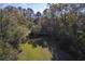 Aerial view of a cozy home nestled amongst mature trees, offering a sense of privacy and serenity at 4401 Prices Bridge Ln, Walterboro, SC 29488