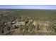 Aerial view showing the lot's location in a densely wooded and secluded area at 4401 Prices Bridge Ln, Walterboro, SC 29488