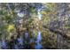 Beautiful low country pond with mature trees and reflections at 4401 Prices Bridge Ln, Walterboro, SC 29488