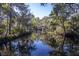 Beautiful low country pond with mature trees and a view of the dock at 4401 Prices Bridge Ln, Walterboro, SC 29488
