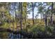 Beautiful low country pond with mature trees, and the reflection of a deer at 4401 Prices Bridge Ln, Walterboro, SC 29488