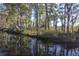 Low country pond with mature trees and clear reflections at 4401 Prices Bridge Ln, Walterboro, SC 29488