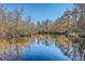 Scenic view of a serene waterfront with trees reflecting on the calm water at 4401 Prices Bridge Ln, Walterboro, SC 29488