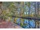 Scenic waterfront view featuring lush trees, a tranquil canal, and a wooden dock at 4401 Prices Bridge Ln, Walterboro, SC 29488