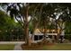 Expansive backyard features a well-manicured lawn, mature trees, relaxing seating, and inviting string lights at 554 Parrot Point Dr, Charleston, SC 29412