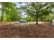 Vast backyard presenting a blank canvas with trees and a fence, great for landscaping at 6146 Chisolm Rd, Johns Island, SC 29455