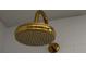 Close up of an elegant gold rainfall shower head at 804 Temple Rd # B, Ladson, SC 29456
