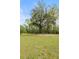 Photo of the spacious backyard with trees, grass and the edge of a treeline at 8654 Windsor Hill Blvd, North Charleston, SC 29420