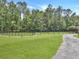 Scenic horse paddock with lush green grass, dark fencing, and a winding driveway, surrounded by towering pine trees under a blue sky at 1019 Spiers Cir, Bonneau, SC 29431